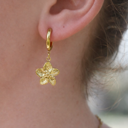 Cherry - boucles d'oreilles